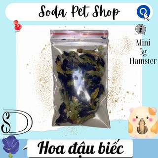 Hoa Đậu Biếc Cho Hamster