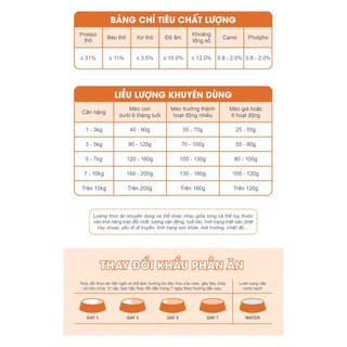 Hạt Catsrang Cho Mèo Mọi Lứa Tuổi