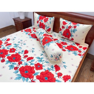 Bộ ga thun lạnh hàn quốc 1m6x2m/1m8x2m