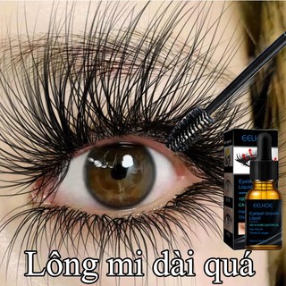 Dưỡng mi serum tăng trưởng lông mi tinh chất dài lông mày 10ml kích thích mọc lông mi làm dày lông mi lông mày
