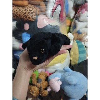 Gấu mỹ  dạng hạt size 10-15cm
