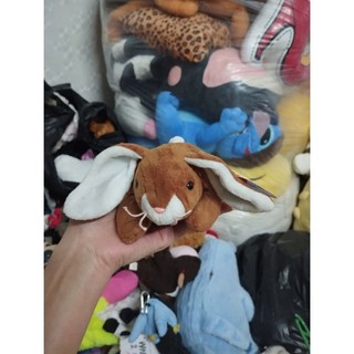 Gấu mỹ  dạng hạt size 10-15cm