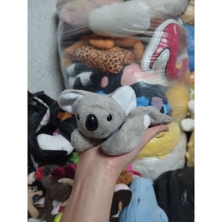 Gấu mỹ  dạng hạt size 10-15cm