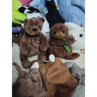 Gấu mỹ  dạng hạt size 10-15cm