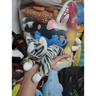 Gấu mỹ  dạng hạt size 10-15cm