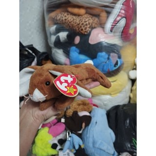 Gấu mỹ  dạng hạt size 10-15cm