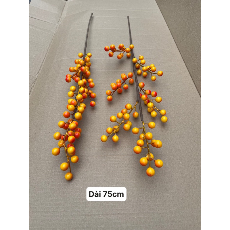 Đào đông 6 nhánh