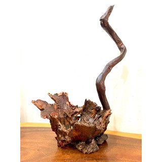 Chậu chim công/ giỏ ghép lan/ chậu gỗ lũa/ chậu trồng cây bằng gỗ lũa