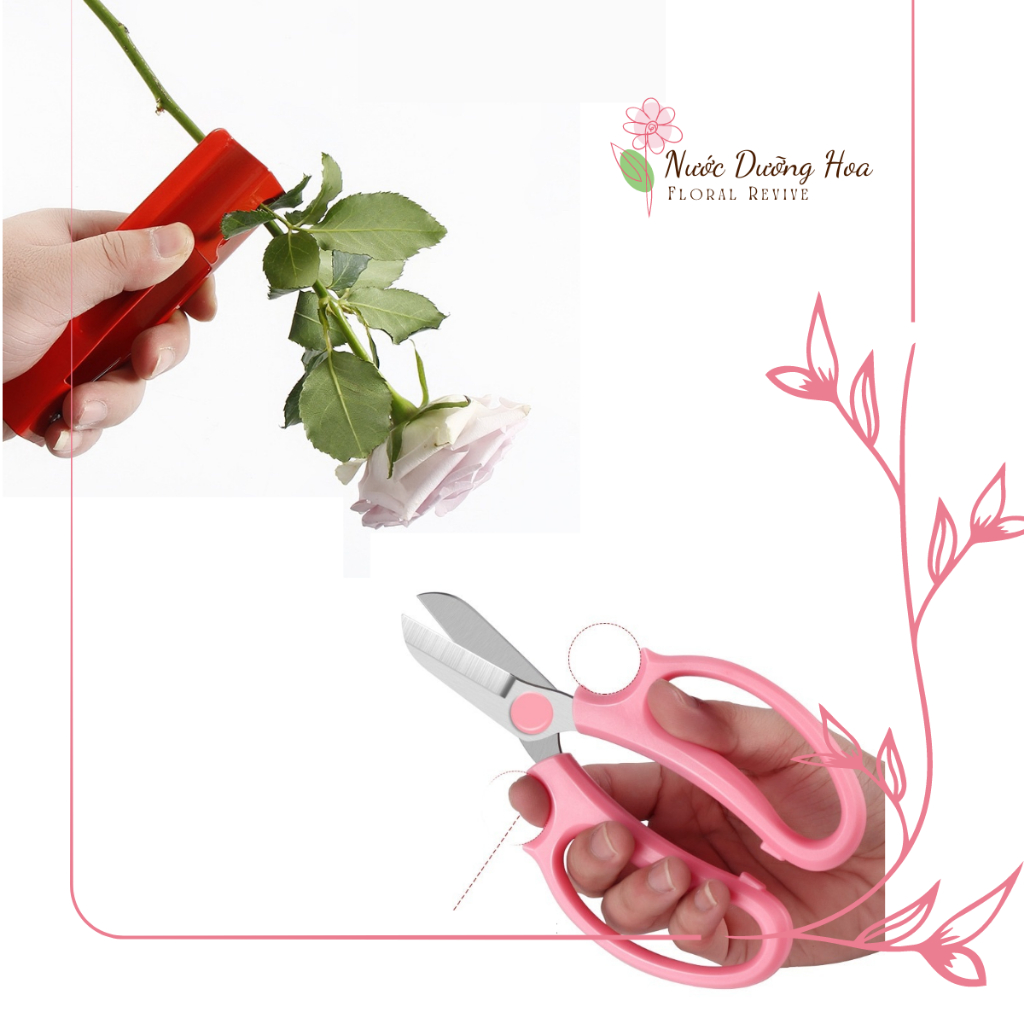 (Hỏa tốc) (Combo) 1 Kìm Tuốt Gai Hoa Hồng + 1 Kéo Cắt Cành Loại Tốt (Có hộp)