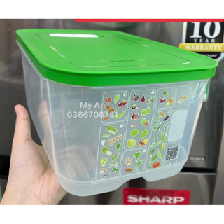 Hộp trữ mát Vensmart 4.4L