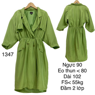 pass Đầm kiểu dáng mangto, đầm thu đông 2hand