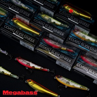 Mồi Câu Lure Megabass COAYU SLIDE SINKER