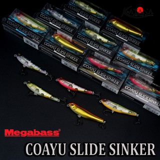 Mồi câu lure megabass coayu slide sinker