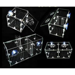 Lồng dưỡng cá tép Mica siêu trong( có film chống xước dán bảo vệ màu trắng đục)- Lồng dưỡng tép bể thủy sinh