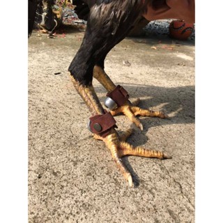 Tạ tập lực, tạ chì đeo chân gà 95g & 115g chất liệu chì và da độn cao cấp