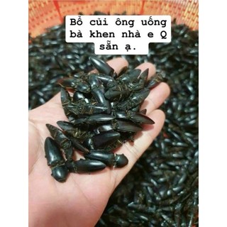 Con bổ củi sấy khô 8k/1con