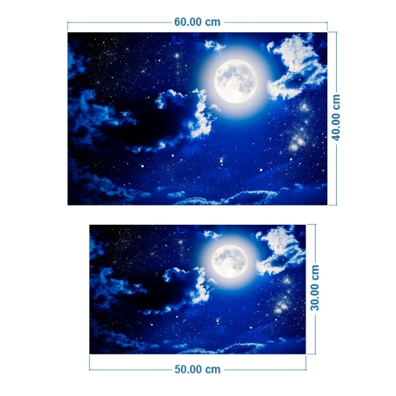 Tranh dán hồ cá 3D - Decal dán bể cá kiểu Moon Night