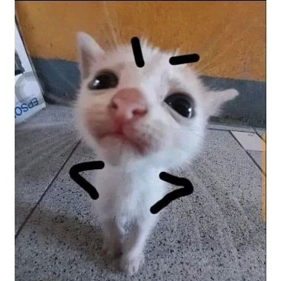 THÊU/MAY DOLL THEO YÊU CẦU [ ĐỌC KĨ MÔ TẢ ]