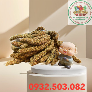 Hạt kê chùm gói 1kg