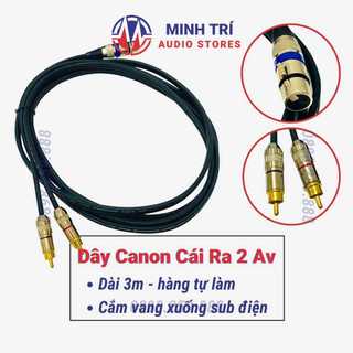 Dây canon ra 2 AV dài 3m để cắm từ vang vào sub điện, dây canon cái ra 2 đầu av hàng tự làm - Minh Trí Audio