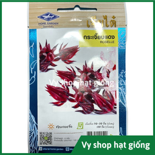 Hạt giống bụp giấm - Atiso đỏ (Hibicus) nhập Thái Lan nguyên gói 120 hạt
