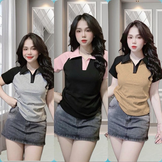 Áo polo cổ bẻ phối màu cá tính bigsize 60-95kg
