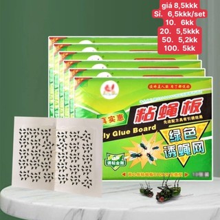 Set 10 miếng dán ruồi