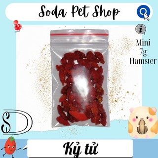 Kỷ Tử Cho Hamster