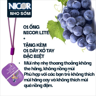 CHÍNH HÃNG Ống Hít Thông Mũi 02 đầu trẻ trung hiệu NICOR với hương trái