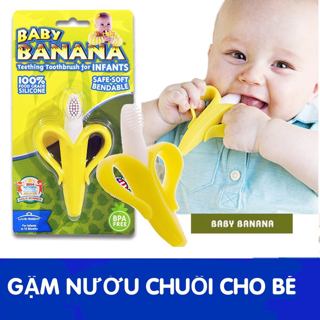 Miếng gặm nướu Ami nhiều mẫu