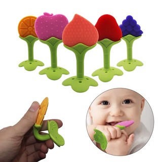 Miếng gặm nướu Ami nhiều mẫu