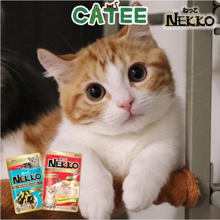 Pate Nekko Cho Mèo Mọi Lứa Tuổi (70g)