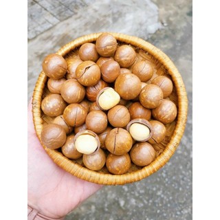 NHÂN MẮC CA  ĐĂKLAK - GÓI 150GRAM ( LÕI MẮC CA )