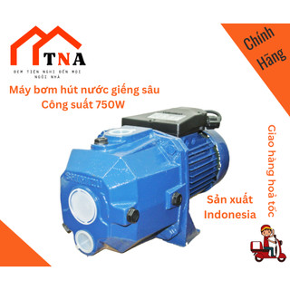 Máy bơm hút nước giếng sâu Shimizu PC-260 BIT - hàng chính hãng