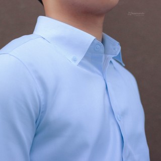 Buttondown Sơ mi xanh nhạt trơn 4 Cotton cổ buttondown Asemando Sơ mi nam dài tay Sartorial