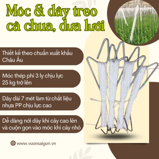 (Combo 10 cái) Móc treo kèm dây treo chịu lực trồng dưa lê, dưa lưới, dưa leo,cà chua (Vườn Sài Gòn)