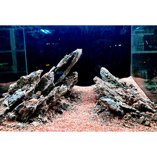 Đá vỉa thủy sinh | trang trí bể thủy sinh, biotope,.... - phụ kiện thủy sinh giá rẻ aquagold