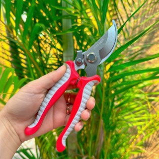 Kéo tỉa cành, cắt cành, Kéo cắt tỉa cây cảnh RHINO CÁN XAM ĐỎ THÉP SK5