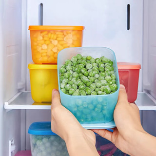 Bộ Hộp Nhựa Trữ Đông 700ML Rainbow Đựng Thực Phẩm - Đồ Ăn Dặm - Hoa Quả Chính Hãng - Tiện Lợi Nhỏ Gọn