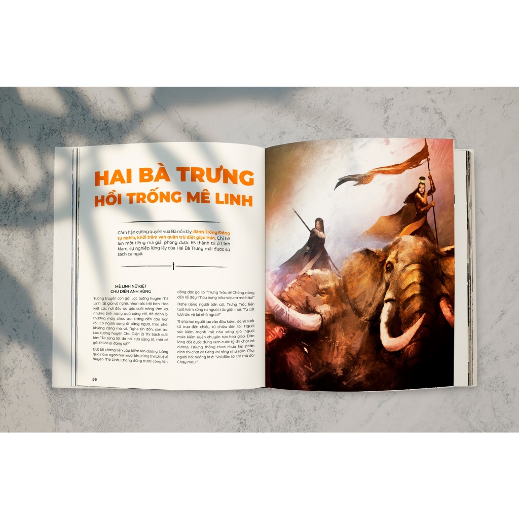 Sách - Việt sử kiêu hùng (quyển 01 - Bộ sách tâm huyết của thầy Trần Việt Quân)