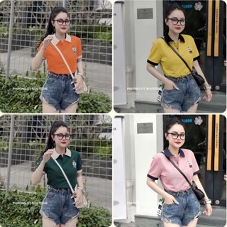 Áo thun polo nữ bigsize 60-90kg thêu gấu, cổ phối màu