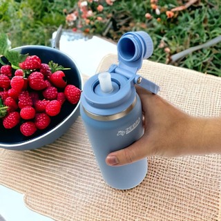 Bình giữ nhiệt Zebra Carry 600ml - 912811