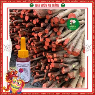 Siêu kích rễ AT 10ml - hỗ trợ cây con, cành chiết, cành giâm bén rễ nhanh, phát triển nhanh chóng