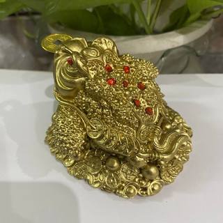 Cóc ngậm tiền mang tài lộc cao 6.5 cm rộng 9 cm màu vàng sơn đồng