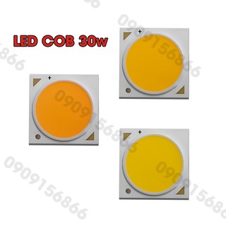 Mắt led cob 30w