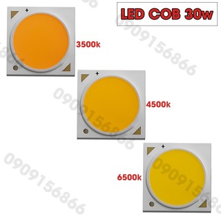 Mắt led cob 30w