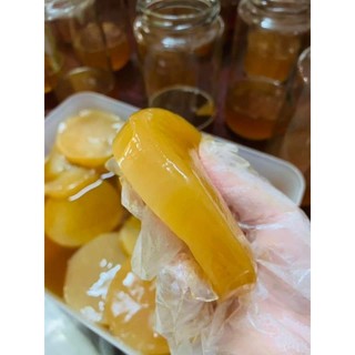 Con Giống scoby +nước mồi khỏe Làm trà Kombucha