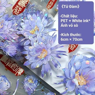 Băng dính PET nền trong