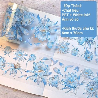 Băng dính PET nền trong