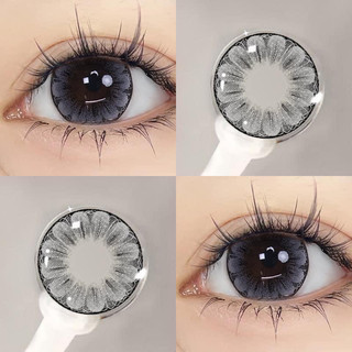 Mẫu lens Hoa Xám ( Lana, Selena, Sonata - Gray)